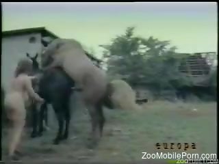 Vintage XXX video with lots of zoophiles and kinky sex