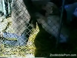 Thirsty zoophile trapped with pussy-crazed animals