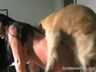 Proper bestiality threesome with two gorgeous ladies