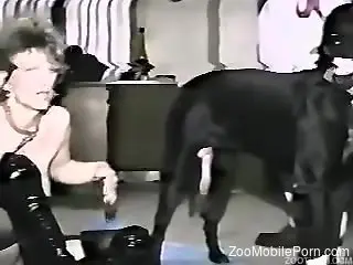 Dalmatian drilling a hot zoophile pussy in a kinky vid