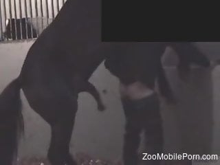 Horse rams half naked man in full anal glory