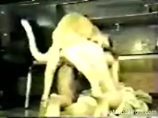 Sexy ass woman in vintage scenes of raw zoophilia