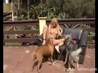 Blondie gets intimate with two horny dogs