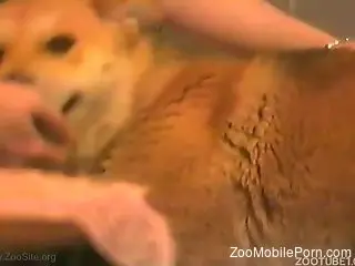 Man shares insane experience with the dog by gagging it