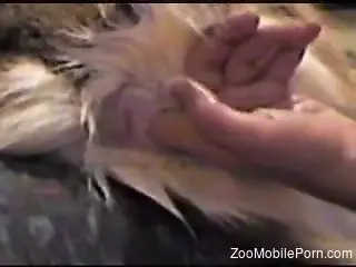 Dude fingering and fucking a tight animal hole here