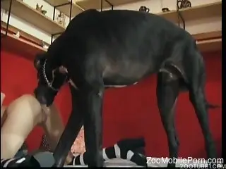 Thin redhead getting tongued by a black animal