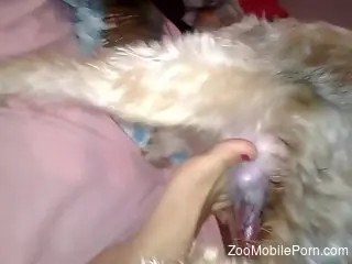 Dry humping session focusing on a horned-up hottie