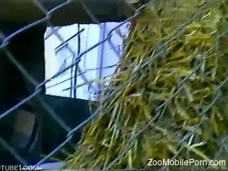 Sexy bitch getting screwed by a truly twisted beast
