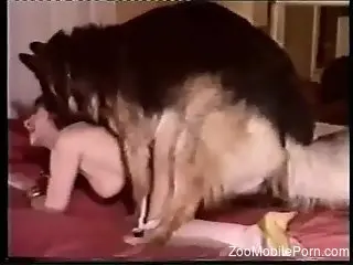 Hot brunette thot fucked by a very kinky doggo
