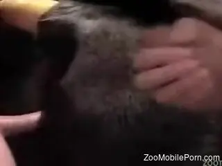 Animal's hole getting fucked violently and cummed on