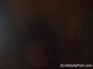 Naked man films himself deep drilling his dog in the ass