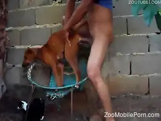 Guy uses his big dick to bang a sexy animal from behind