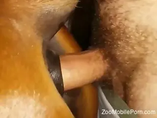 Dude's meaty dick slides right inside of that mare hole