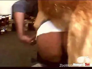 Bubble butt dude getting fucked by a kinky doggo