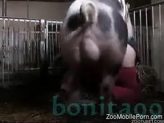 Sexy pig with a hot body enjoying hard sex with a zoophile