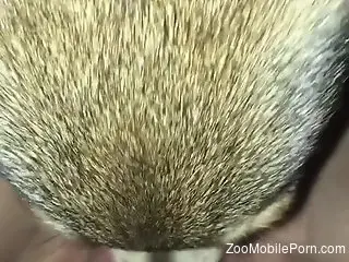 Awesome cunnilingus session featuring a very sexy do