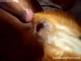 Dude uses his gorgeous cock to fuck a sexy beast