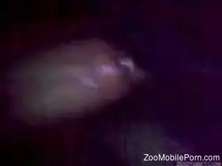 Nighttime bestiality fuck with hot close-up views