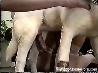 Curvy lady enjoys fabulous bestiality fucking on cam