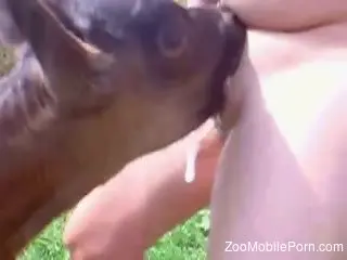 Deepthroat oral featured in a scene with a doggo