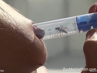 Sexy bee gets all cute while stinging that nipple