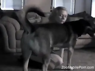 Gorgeous zoophile lady makes love to a dirty dog