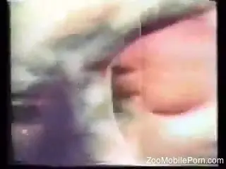 Messy and blurry zoophile fuck scene to make you cum