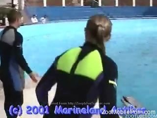 Dolphin cock pleasured by a very skilled zoophile