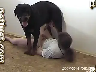 Dude with a really hard cock stroking a dog dick