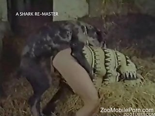 Vintage zoophilic clip with the hottest fuckers out there