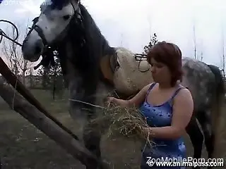 Redhead busty gal licking all over that horse cock