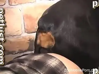 Hot animal fucks a guy's delicious butthole from behind