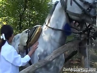 Sensational zoophile babe fucks a horse outdoors