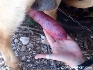 Dude proves that he's the best dog fucker out there