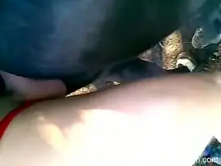 Dude in a red speedo slaying that horse pussy from behind