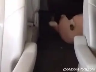 Dirty fattie with a big booty getting fucked by a dog