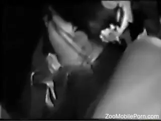 Horny brunette worships a gorgeous penis in B&W