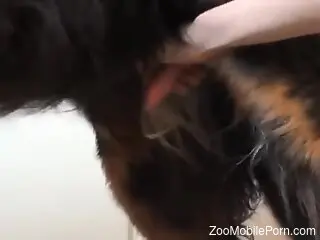 Nice handjob for a very sexy animal that wants to cum