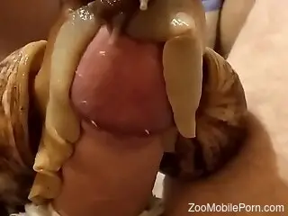 Snails flock to a guy's cock in a hot POV scene