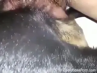 Hairy cock pleasuring a dog's tight hole here
