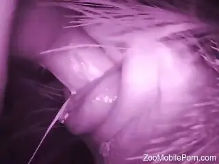 Dude fucking an animal pussy in a closeup movie