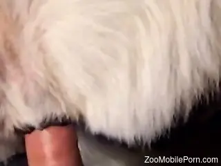 POV pussy gape scene with a well-endowed beast tamer