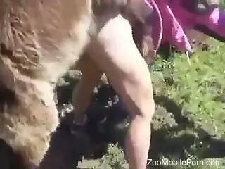 Hot pussy lady getting destroyed by a hung horse