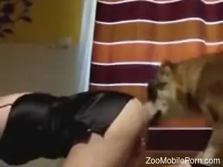 Hot bitch getting rammed from behind by a thirsty dog