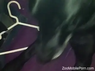 Dude's cock is being pleasured by a black animal
