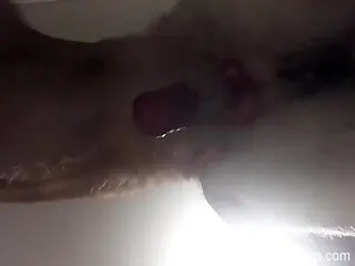 Dog's cock is hanging over the camera and looking hot AF