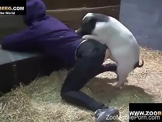 Hot zoophilic diva allows this pig to fuck her up