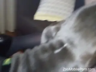 Naked wife licked and made to come by her trustful dog