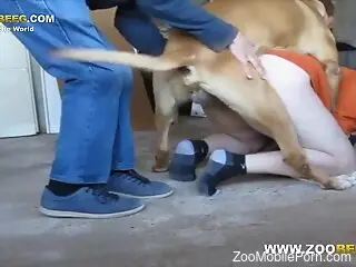 Clothed man helps his dog penetrate the wife's ass