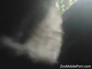 Zealous closeup animal fucking recorded outdoors